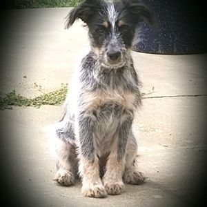 Meet your Posher, Brenda